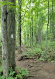 Nottawasaga Lookout Provincial Nature Reserve