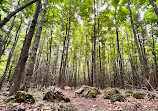 Nottawasaga Lookout Provincial Nature Reserve