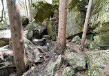 Nottawasaga Lookout Provincial Nature Reserve