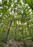 Nottawasaga Lookout Provincial Nature Reserve