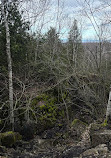 Nottawasaga Lookout Provincial Nature Reserve