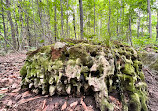 Nottawasaga Lookout Provincial Nature Reserve