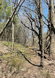 Nottawasaga Lookout Provincial Nature Reserve