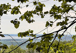 Nottawasaga Lookout Provincial Nature Reserve