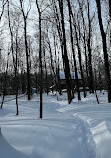 Nottawasaga Lookout Provincial Nature Reserve