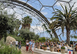 Mediterranean Biome