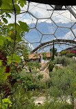 Mediterranean Biome