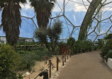 Mediterranean Biome