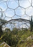 Mediterranean Biome