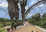 Mediterranean Biome