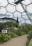 Mediterranean Biome