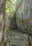 Bruce Trail