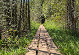 Bruce Trail