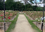 Rose Garden