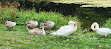 Broughton Castle