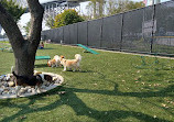 108 First Street Dog Park