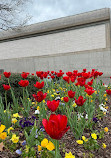 Kimbell Art Museum