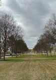 Kimbell Art Museum