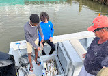 FinAtics Dauphin Island Fishing Charters