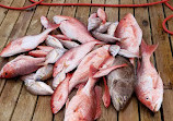 FinAtics Dauphin Island Fishing Charters