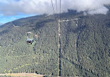 Peak 2 Peak Blackcomb