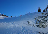 Peak 2 Peak Blackcomb