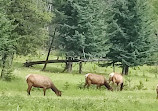 Jasper Park Information Center