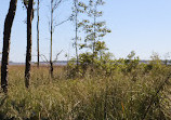 Weeks Bay National Estuarine Research Reserve