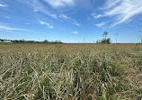 Weeks Bay National Estuarine Research Reserve