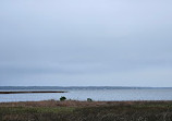 Weeks Bay National Estuarine Research Reserve