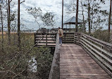 Weeks Bay National Estuarine Research Reserve