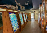 Weeks Bay National Estuarine Research Reserve