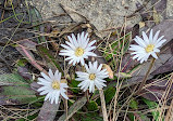 Weeks Bay National Estuarine Research Reserve