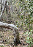 Weeks Bay National Estuarine Research Reserve