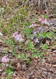 Weeks Bay National Estuarine Research Reserve