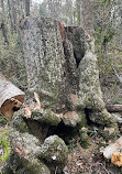 Weeks Bay National Estuarine Research Reserve