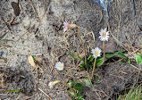 Weeks Bay National Estuarine Research Reserve