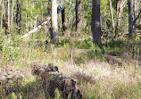 Weeks Bay National Estuarine Research Reserve