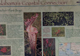 Weeks Bay National Estuarine Research Reserve