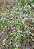 Weeks Bay National Estuarine Research Reserve