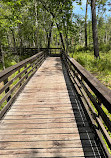 Weeks Bay National Estuarine Research Reserve