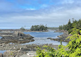 Rocky Beach Area