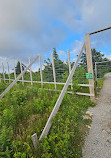 Cape Breton Highlands National Park