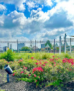 Millennium Park