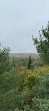 Algonquin Park Visitor Centre