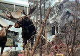 Algonquin Park Visitor Centre