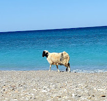 Kokkinos Pirgos Beach