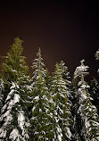 Cypress Mountain