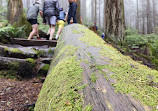 Grouse Grind