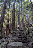 Grouse Grind